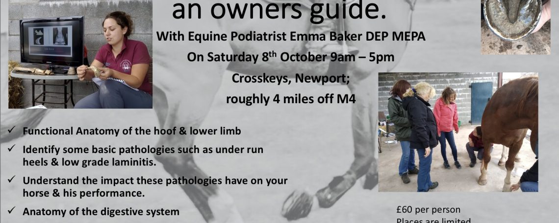 Flyer for EP Emma Bakers' Healthy hoof course 8th October 22