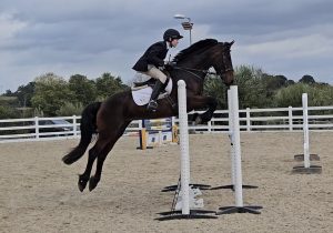 Black horse jumping an 110cm jump