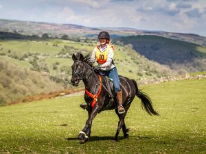 Brown horse and rider cantering across hills